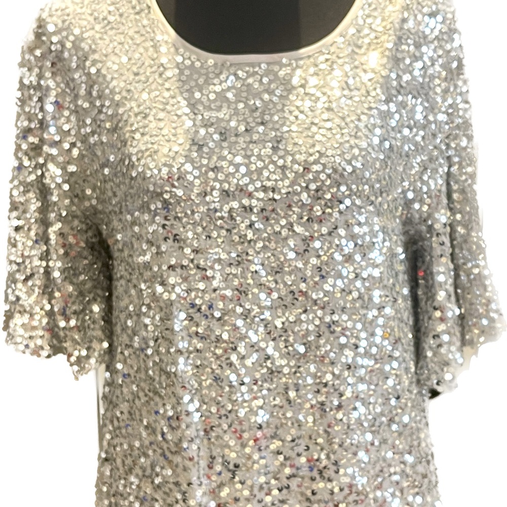 Free People family.. mini or tunic sequins.  Flare sleeves back zipper